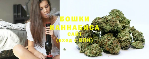 сатива Пересвет